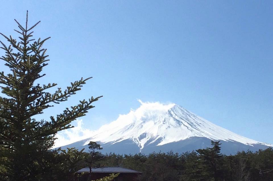 japan gray line tour