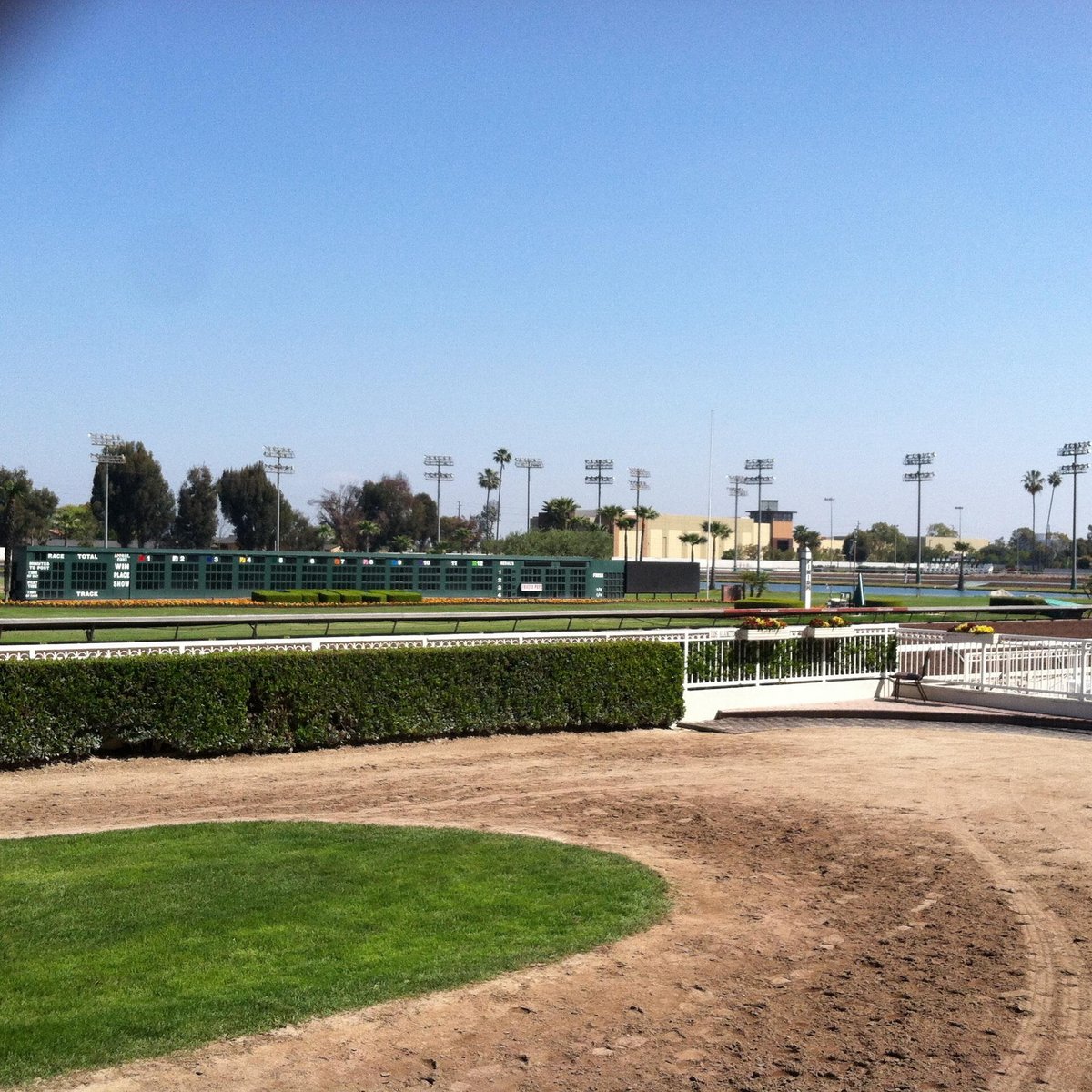 LOS ALAMITOS RACE COURSE 2023 What to Know BEFORE You Go