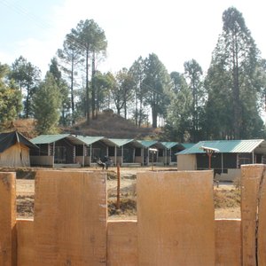 Camps View