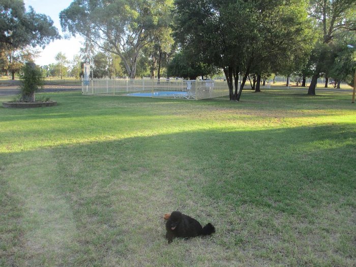 Gilgandra Caravan Park Rooms: Pictures & Reviews - Tripadvisor