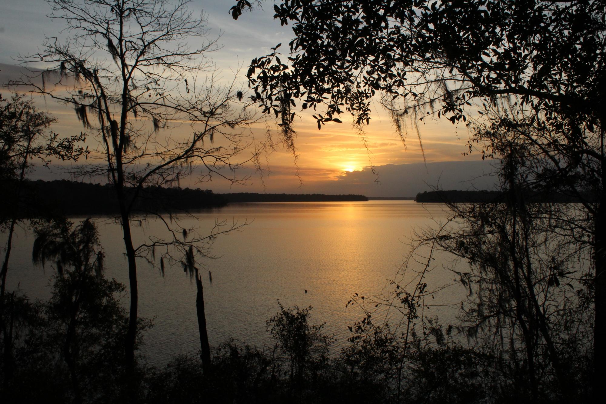 LAKE TALQUIN STATE FOREST Tallahassee Ce Qu Il Faut Savoir   Lake Talquin State Forest 