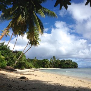 Taveuni Island, Fiji 2023: Best Places to Visit - Tripadvisor