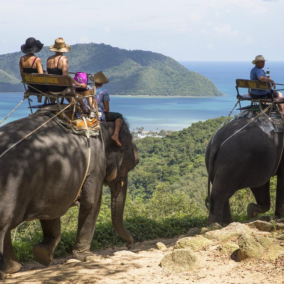 Развлечения в тайланде. Siam Safari Пхукет. Тайланд экскурсия на слонах. Чалонг Пхукет. Сафари тур Пхукет.