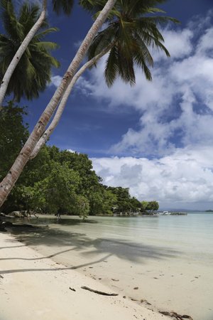 UEPI ISLAND RESORT - Reviews (Solomon Islands)