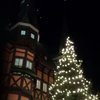 TravelAgentonTour