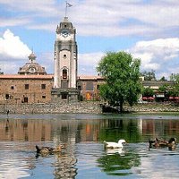 Patos en el tajamar