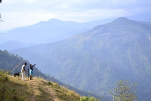 Traveller