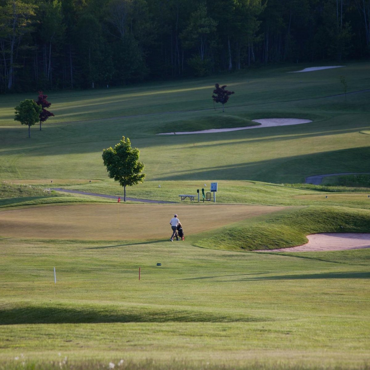 Fox Meadow Golf Club (Stratford) All You Need to Know BEFORE You Go