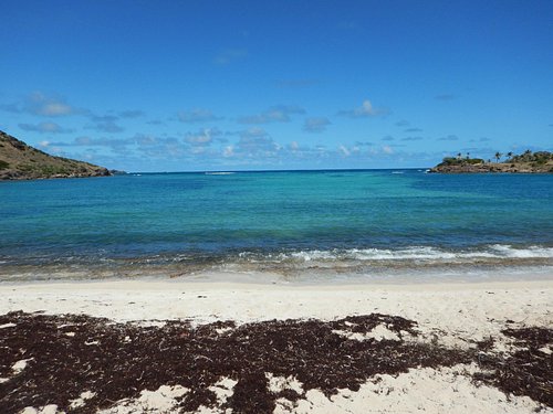 Saint Barthelemy nature & cultural excursions to discover • EnezGreen