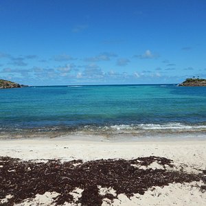 Cookie dessert! - Picture of Bagatelle St. Barths, St. Barthelemy -  Tripadvisor