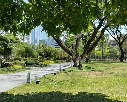 Greenbelt Park - Makati City  Makati city, Greenbelt park, Philippines  travel
