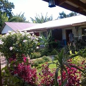 Poseen un bonito jardín