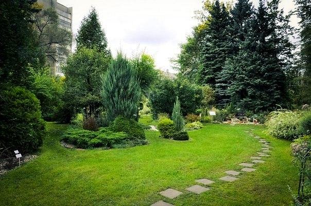 Ботанический сад Петра Великого — Википедия