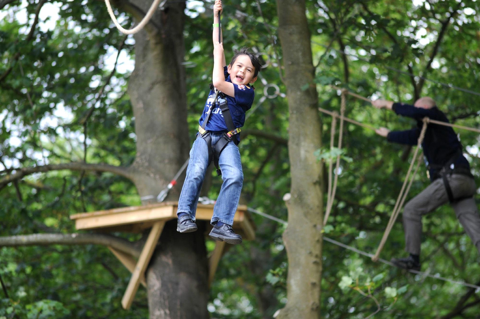 WILD WOOD ADVENTURE (Guildford) - All You Need to Know BEFORE You Go