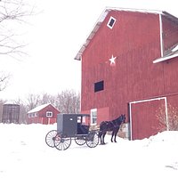 Weaver View Farm country store