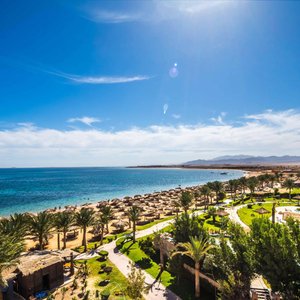 Beach Overview