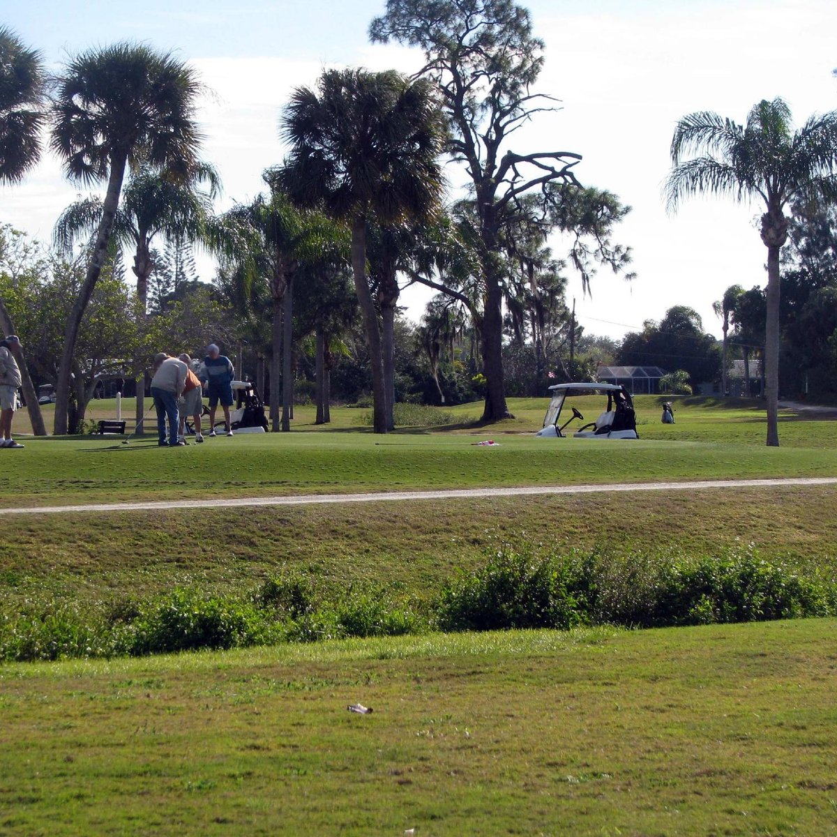 GULF GATE GOLF COURSE (Sarasota) Tutto quello che c'è da sapere