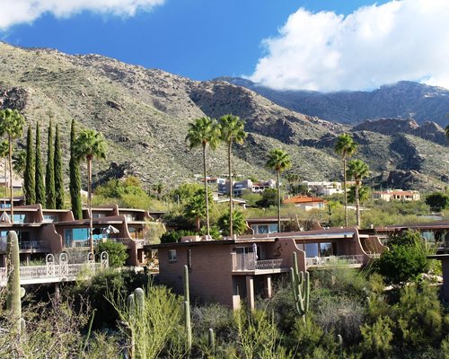 THE 10 BEST Catalina Foothills Hotel Deals (Jun 2022) - Tripadvisor