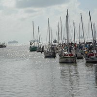 Fishing boats waiting and cruise ship in the distance