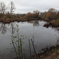 Part of Delta Ponds