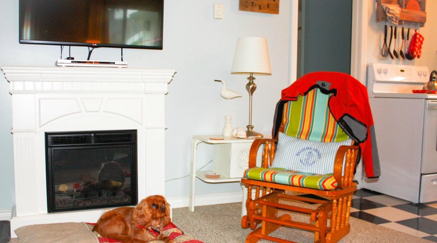 Yoshi enjoying the fireplace