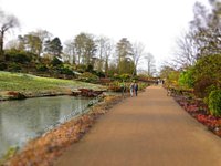 Giardino RHS Wisley, Surrey, Regno Unito. Il 25 gennaio, 2019. Preparativi  finali di più di 40 a grandezza naturale di animali e piante effettuati con  il popolare LEGO® Mattone di Edificio che