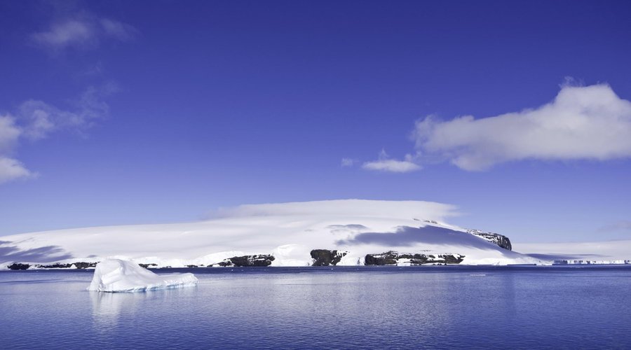Paulet Island
