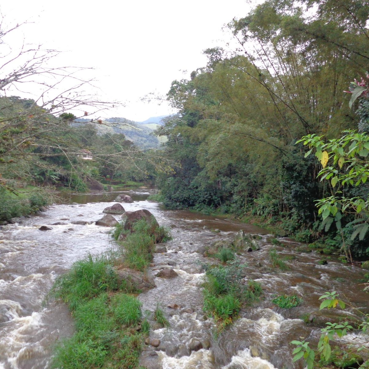 Caminho de ouro (Paraty) - ATUALIZADO 2023 O que saber antes de ir ...