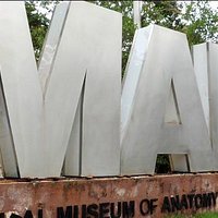 Museum of Anatomy and Pathology, Manipal University