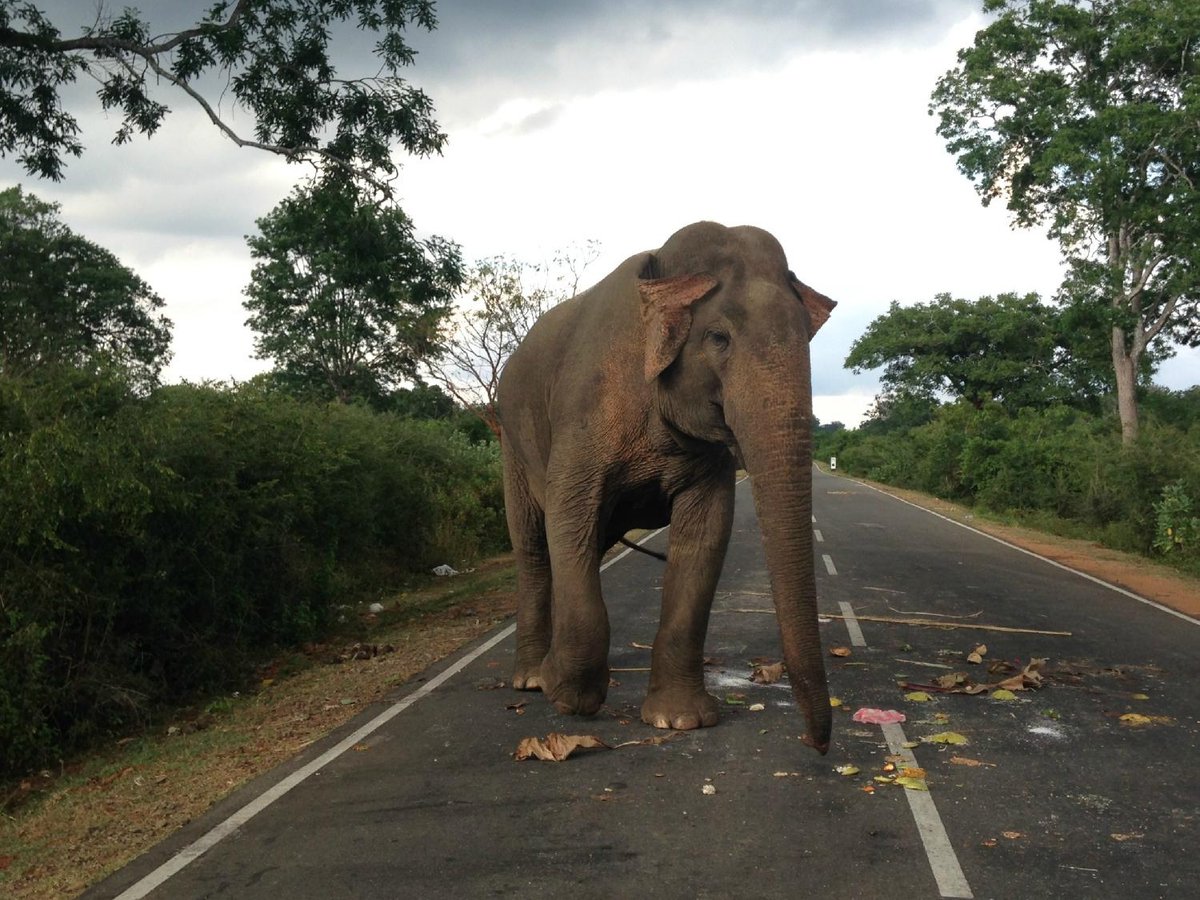 Come Visit Sri Lanka (Kandy) - All You Need to Know BEFORE You Go