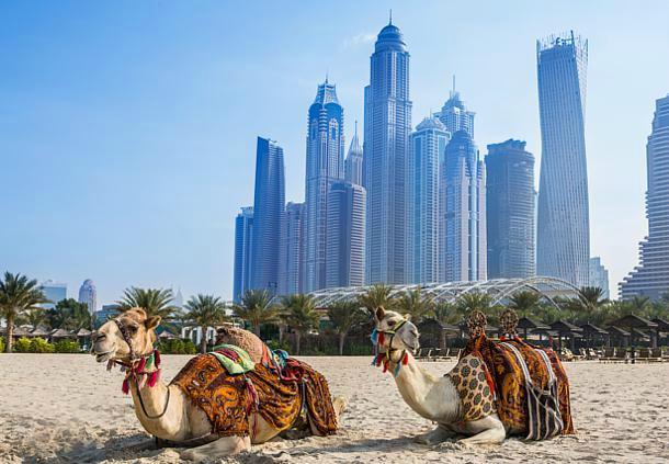 Hotel photo 44 of Habtoor Grand Resort, Autograph Collection.