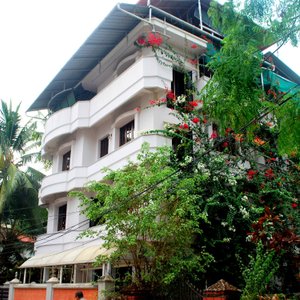 Front View