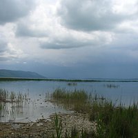 The Vrana Lake seen from NW (near the village of Vrana itself)