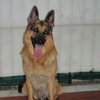 PABLO1706