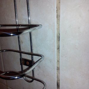 Filth and black mold growing in room 208.
