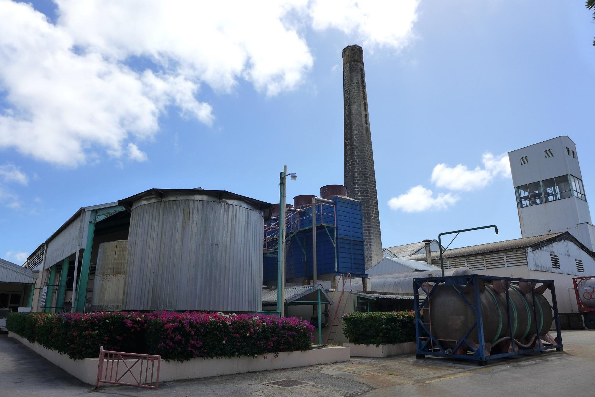 Foursquare Rum Distillery - All You Need to Know BEFORE You Go (2024)