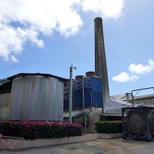 sugar factory visit report