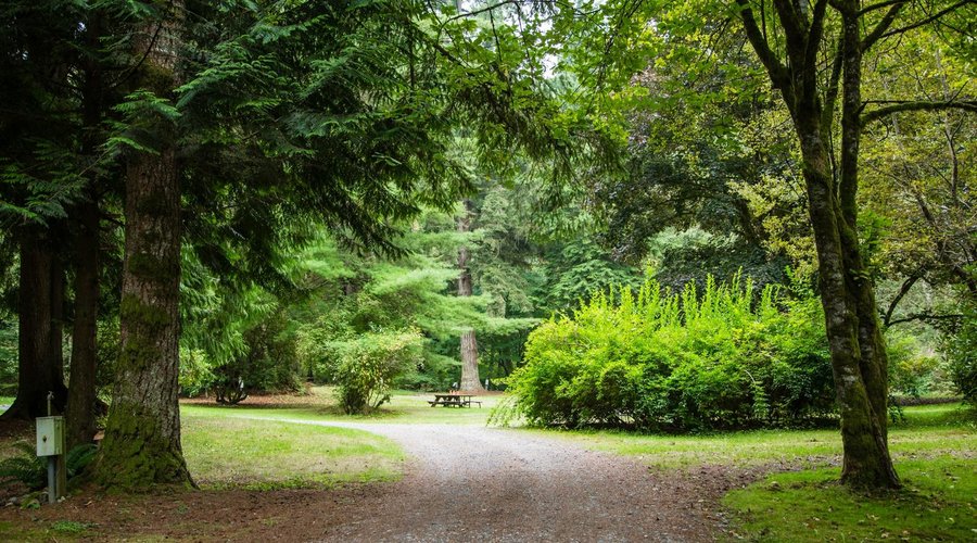 Trails and bike paths