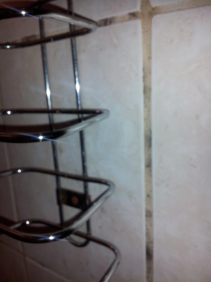 Shower corner shelf question. - Ceramic Tile Advice Forums - John