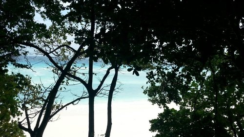 Similan Islands review images