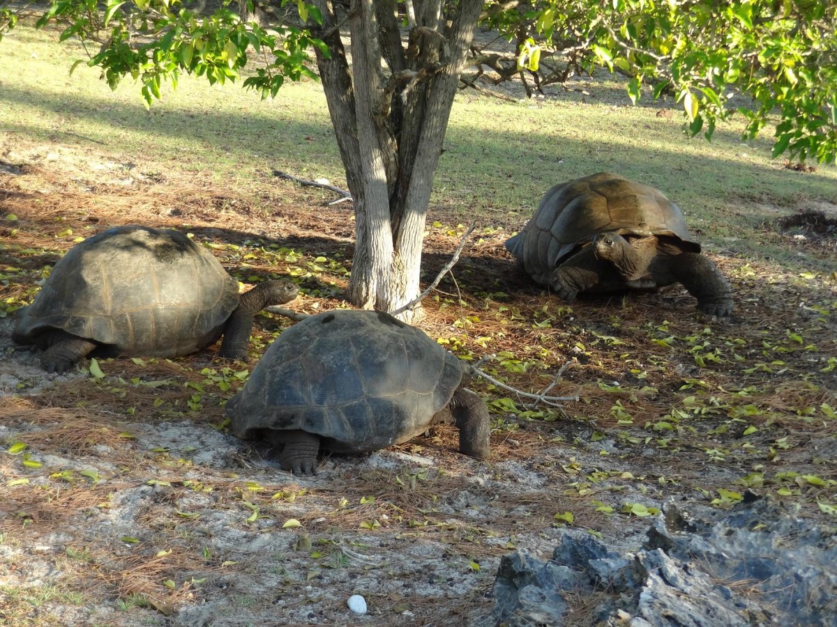 SEYCHELLES ISLANDS FOUNDATION (2024) All You Need to Know BEFORE You Go ...