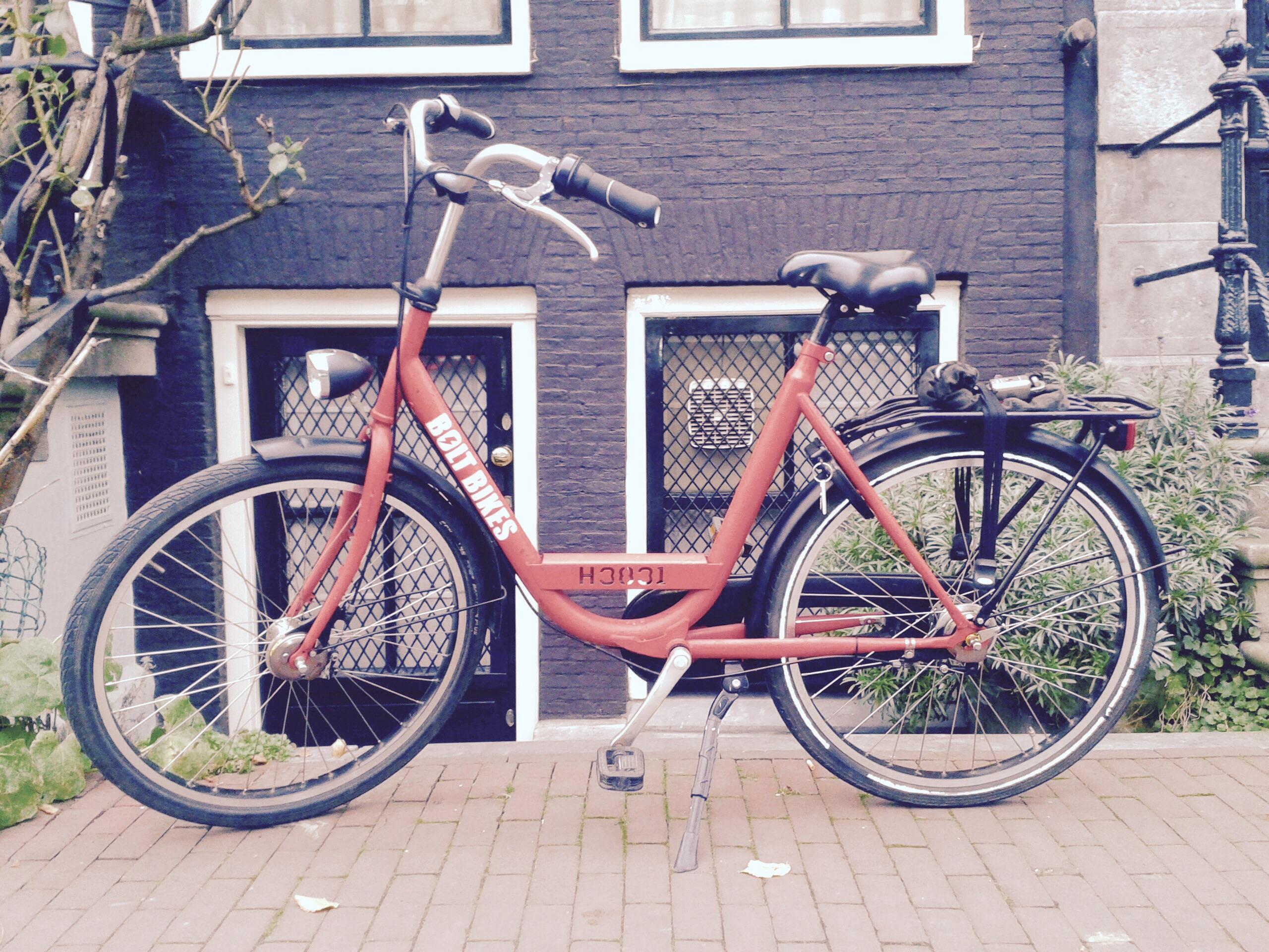 Bolt bikes store