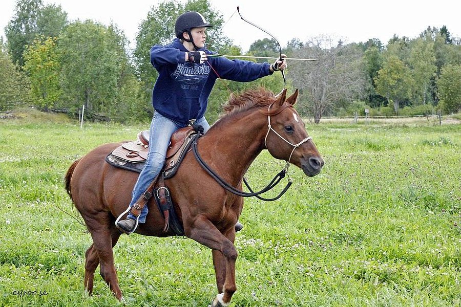 Dalecarlian Horse Adventures image
