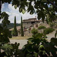 Casale