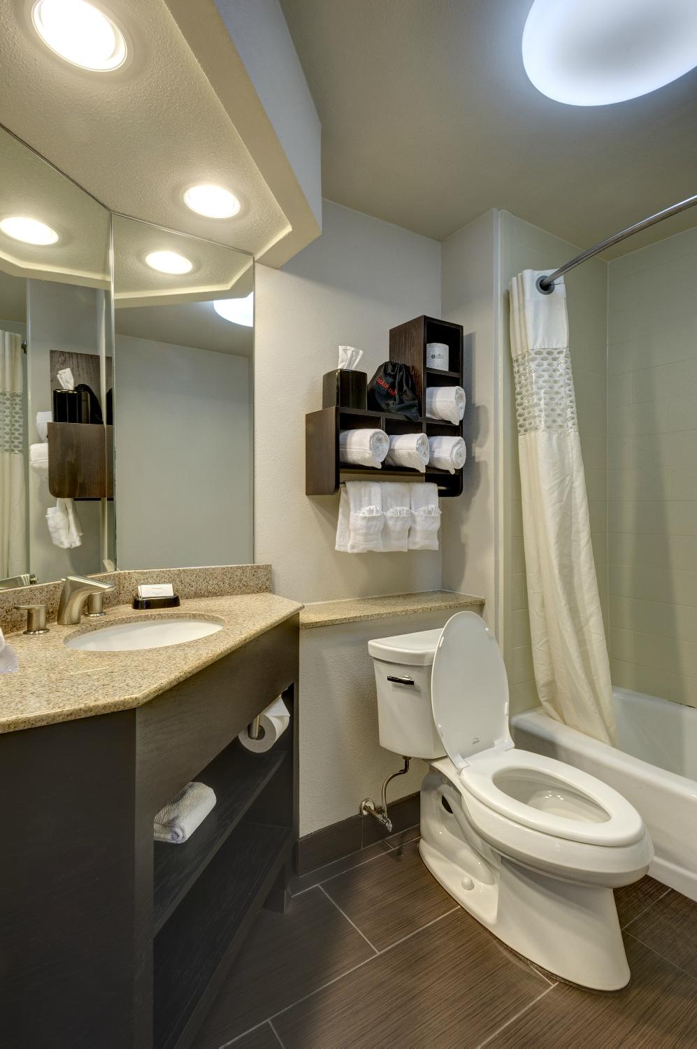 Hotel photo 15 of Hampton Inn & Suites New Orleans Downtown (French Quarter Area).