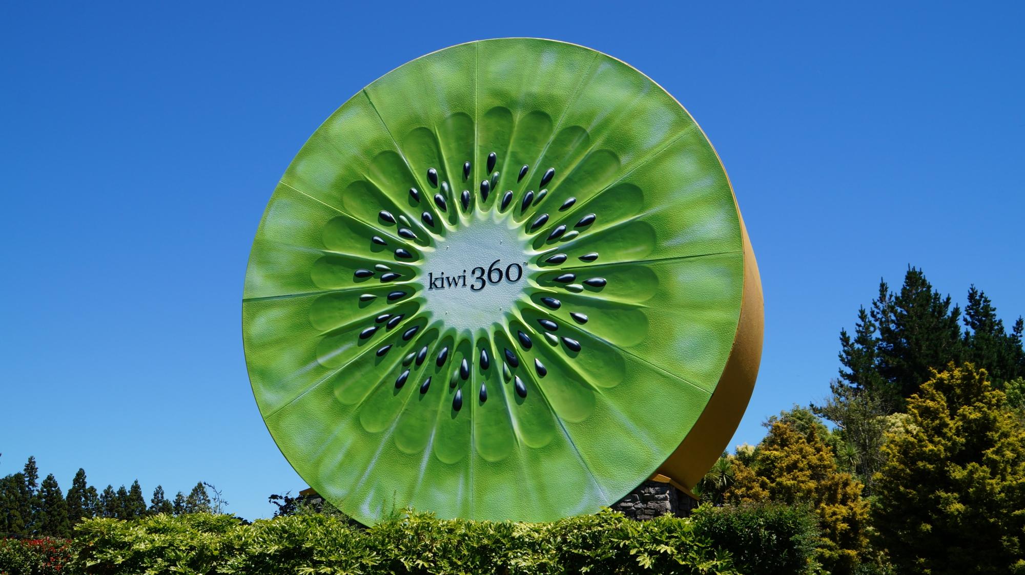 2025年 Kiwi 360 - 出発前に知っておくべきことすべて