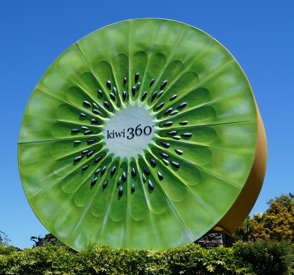 Kiwi 360 - All You MUST Know Before You Go (2024)