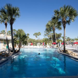 The Pool at the Tropical Palms Resort and Campground
