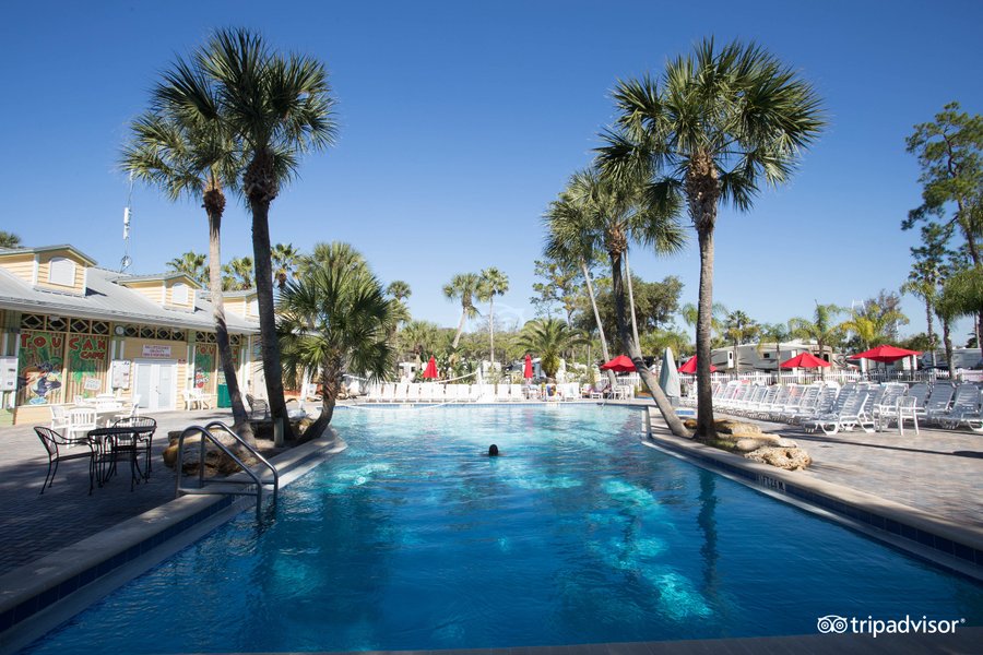 Escape To Paradise: Florida’s Tropical Palms Resort & Campground