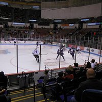 South Carolina Stingrays